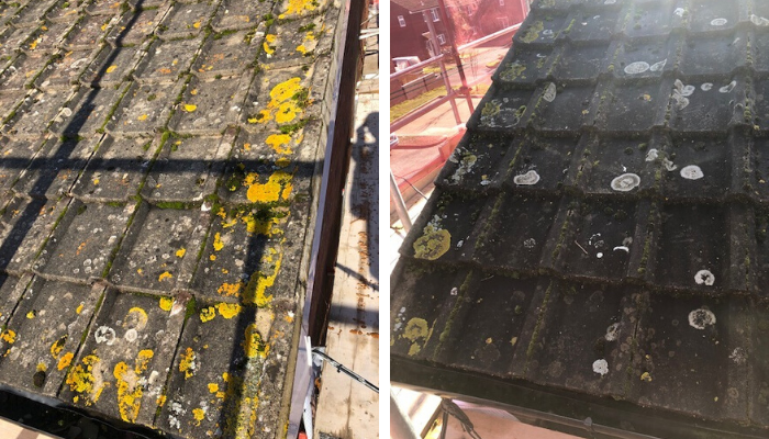 Token Cleaning - Roof Cleaning