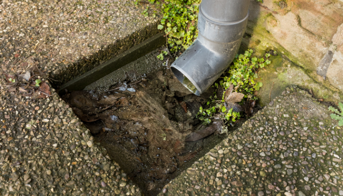 5 Warning Signs Your Drains Need Cleaning