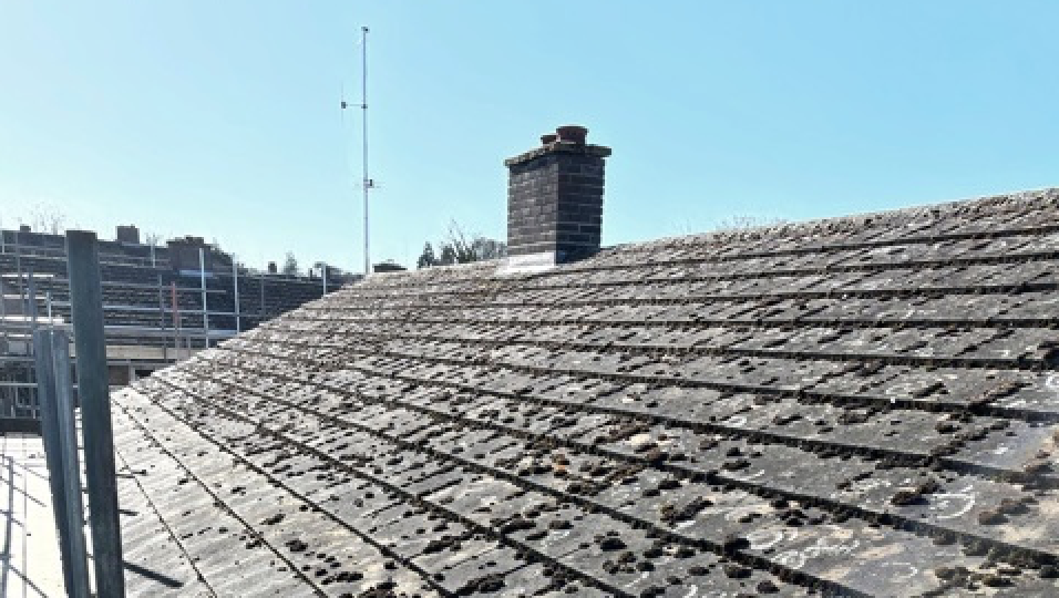 4 Reasons to Clean your Roof