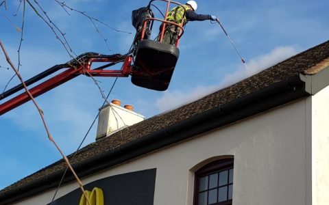 roof cleaning