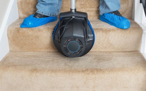 The Importance of Professional Carpet Cleaning on Stairs