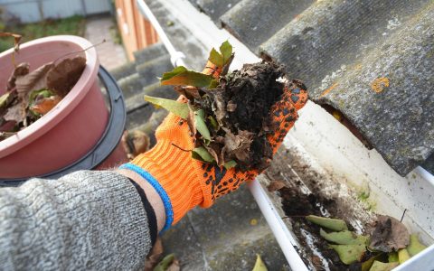 The Importance of Gutter Cleaning Services for UK Homeowners